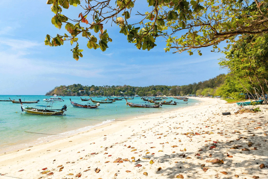 Phuket Aerial Beach and Longtail Boats
